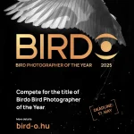 Birdo Bird Photographer of the Year 2025