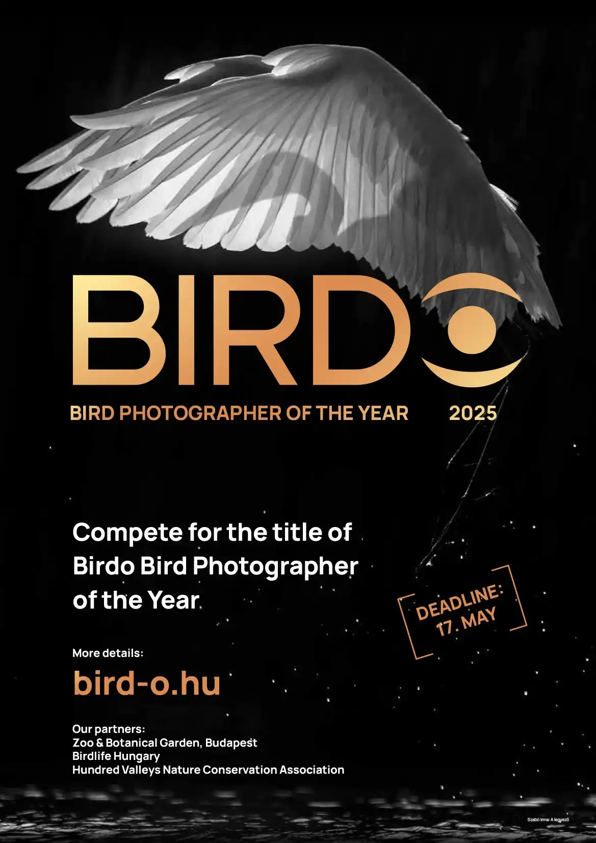 Birdo Bird Photographer of the Year 2025