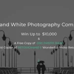 Black and White 2025 by The Motif Collective