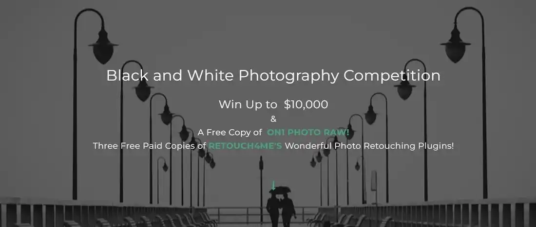 Black and White 2025 by The Motif Collective