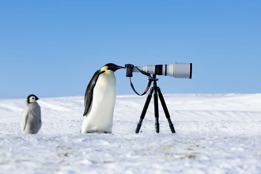 The Nature Photography Contest 2024 Winners: Images That Capture the Beauty and Fragility of Nature 3 - Deartline Emperor Spy, by Thomas Vijayan, The Nature Photography Contest 2024 Photographer of the Year 2024
