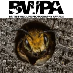 British Wildlife Photography Awards 2026 (BWPA 2026)