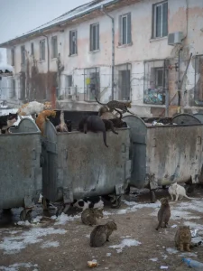 Gomma Photography Grant 2024 Best Documentary Award Vladimir Karamazov – In Their Place