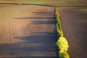 British Wildlife Photography Awards 2025 Documentary Series Winner: “Land Use” by Chris O'Reilly - Land_Use_1_compressed