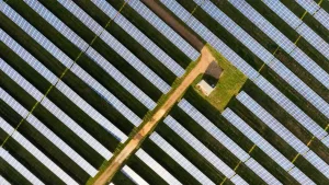 British Wildlife Photography Awards 2025 Documentary Series Winner: “Land Use” by Chris O'Reilly - Land_Use_4_compressed