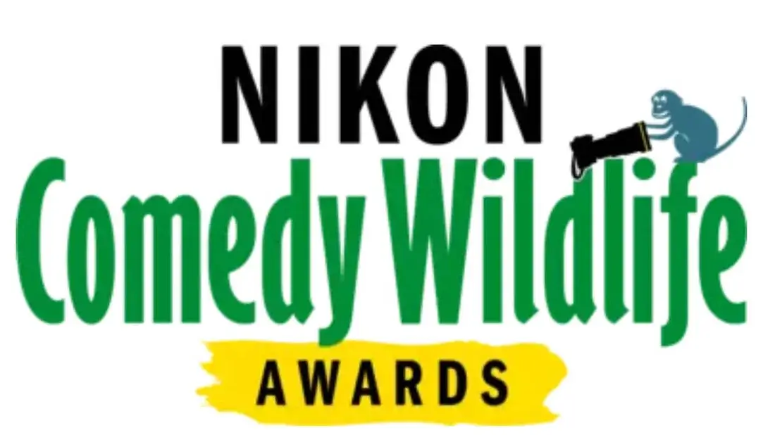 Nikon Comedy Wildlife Awards 2025 2 - Deartline Nikon Comedy Wildlife Awards 2025