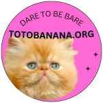 TOTO BANANA Grant Open Call 2025