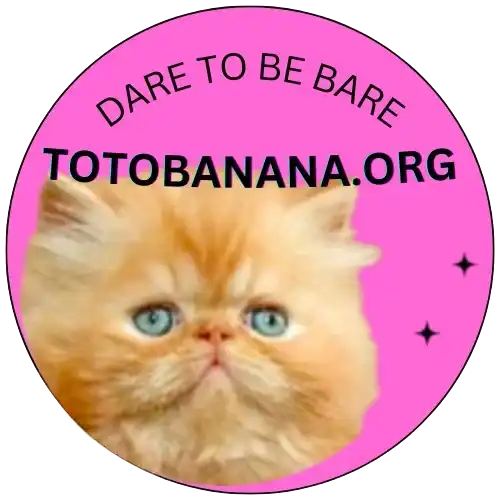 TOTO BANANA Grant Open Call 2025