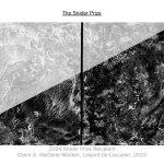 The MoCP Snider Prize 2025