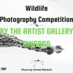 Wildlife Photography Contest 2025 by The Artist Gallery