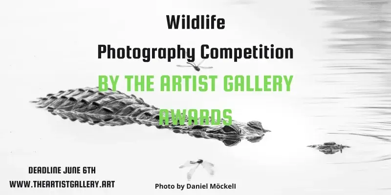Wildlife Photography Contest 2025 by The Artist Gallery