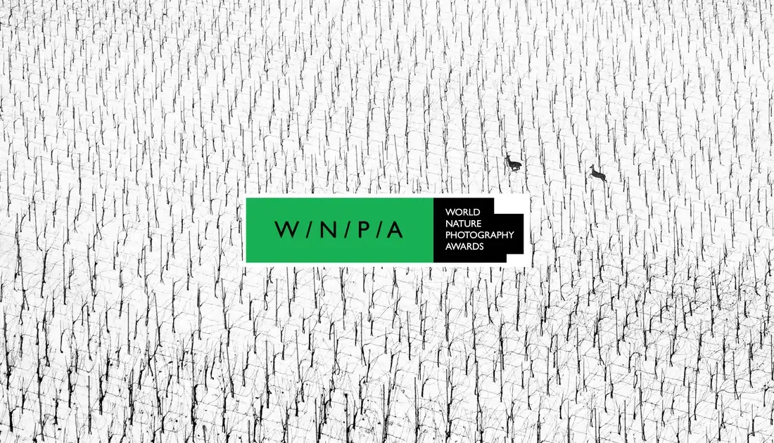 World Nature Photography Awards 2026 (WNPA 2026)