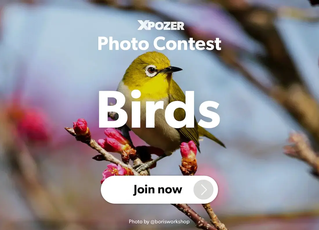 Xpozer Birds Photo Contest 2025