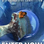 7th Chelsea International Photography Competition 2025