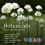 Botanicals—Flora of The World by Decagon Gallery