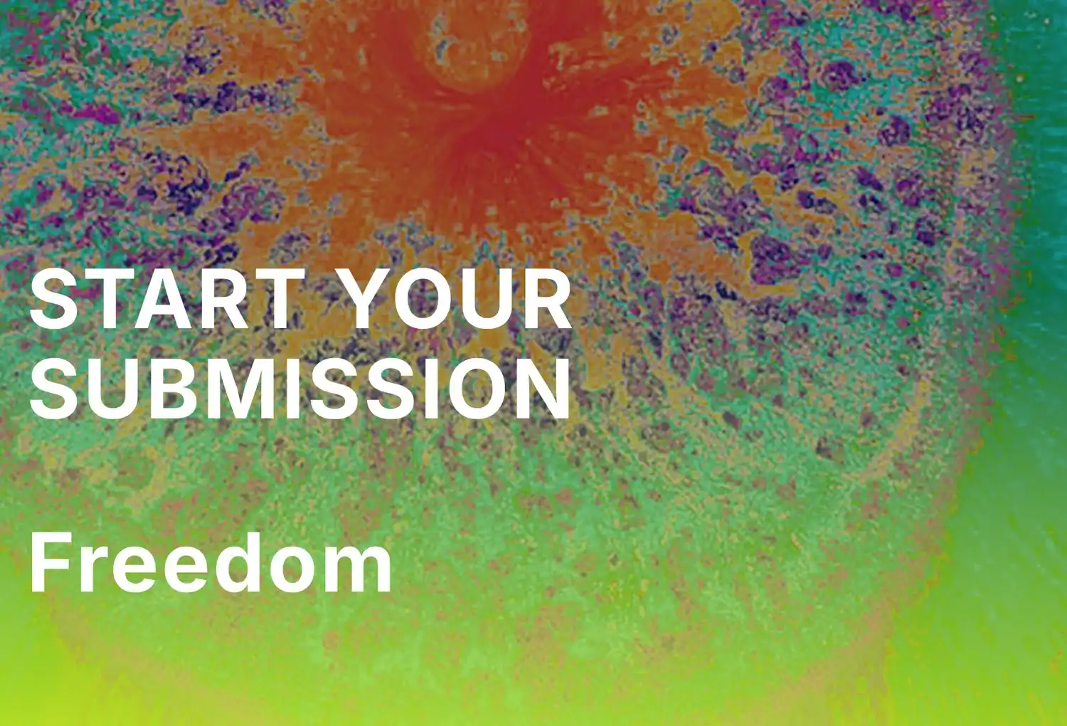 Freedom Global Online Exhibition by Domio Gallery