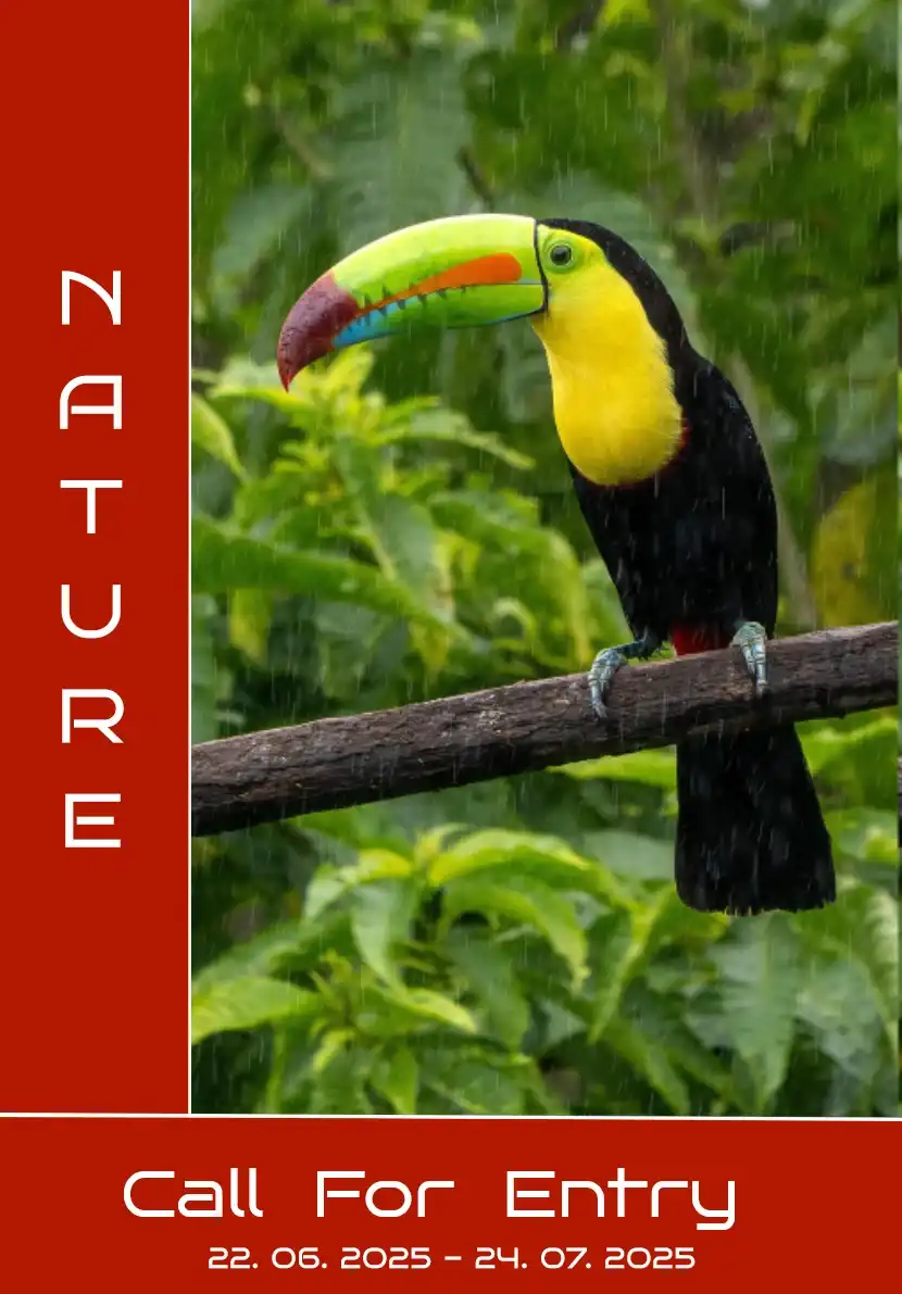 8th Nature Art Competition by Contemporary Art Room Gallery