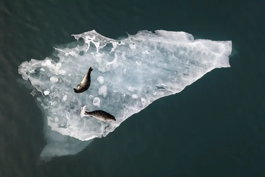 Fabien Guittard, Above The Ice - International Aerial Photographer of the Year 2025 Special Award Winner  Chairman's Choice 