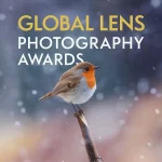 Global Lens Photography Awards 2025 4 - Deartline Global Lens Photography Awards 2025