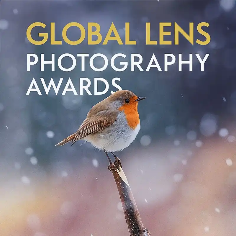 Contests 2 - Deartline Global Lens Photography Awards 2025