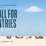 Global Lens Photography Awards 2026 15 - Deartline Global Lens Photography Awards 2026