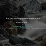 Nature Photography Competition 2025 by The Motif Collective 5 - Deartline Nature Photography Competition 2025 by The Motif Collective