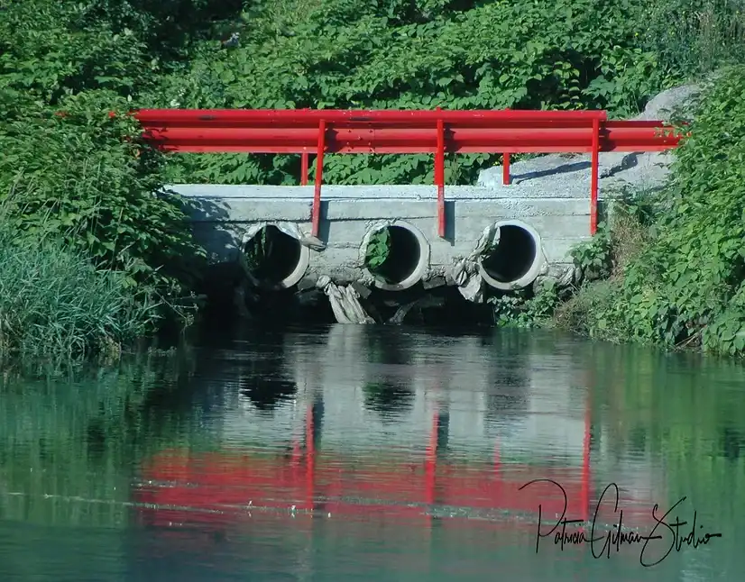 Reflections 2025 by NYC4PA - Red Bridge