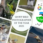 SINWP Bird Photographer of the Year 2025 5 - Deartline SINWP Bird Photographer of the Year 2025