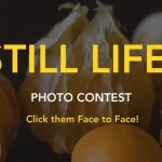 Still Life Photo Contest 2025 by Nat Photo Society 19 - Deartline Still Life Photo Contest 2025 by Nat Photo Society