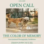 The Color of Memory by Allora Gallery 22 - Deartline The Color of Memory by Allora Gallery