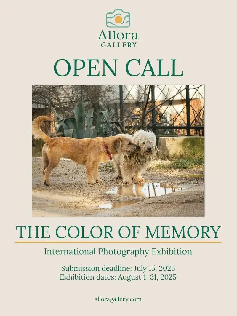 The Color of Memory by Allora Gallery 2 - Deartline The Color of Memory by Allora Gallery