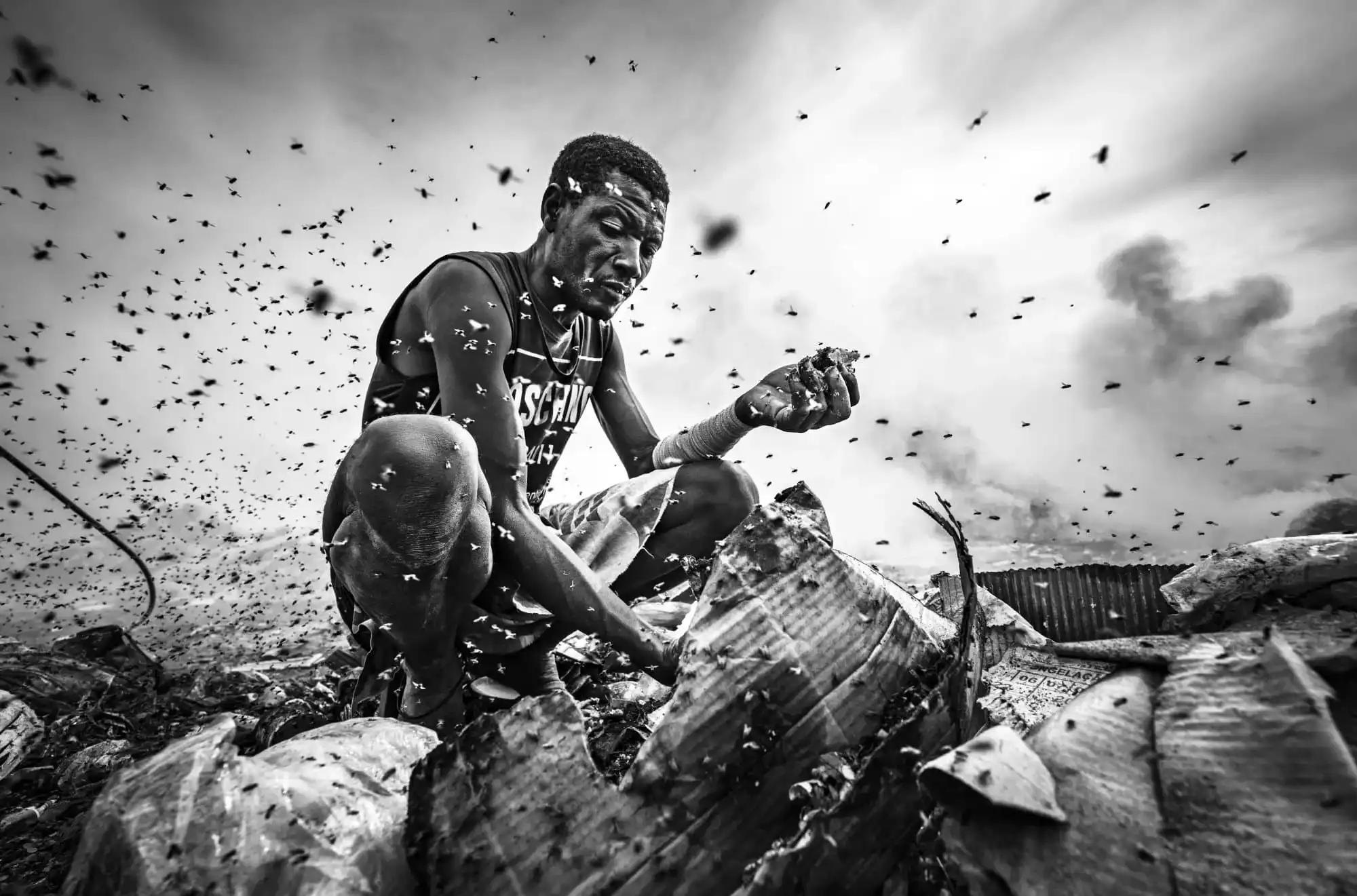 The kingdom of flies, by João Coelho - Absolute Winner of the Black and White Photo Awards 2025 