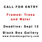 Framed: Trees and Water by Black Box Gallery 10 - Deartline Framed: Trees and Water by Black Box Gallery