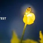Garden for Wildlife Photo Contest 2025 18 - Deartline Garden for Wildlife Photo Contest 2025