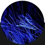 Blue Art Competition by Artist Space Gallery