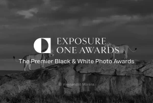 Exposure One Awards - Nature Photography Contest 2025