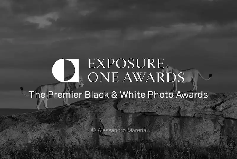 Exposure One Awards - Nature Photography Contest 2025 2 - Deartline Exposure One Awards - Nature Photography Contest 2025