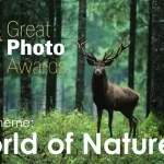 Great Photo Awards 2025: World of Nature 1 - Deartline Great Photo Awards 2025: World of Nature