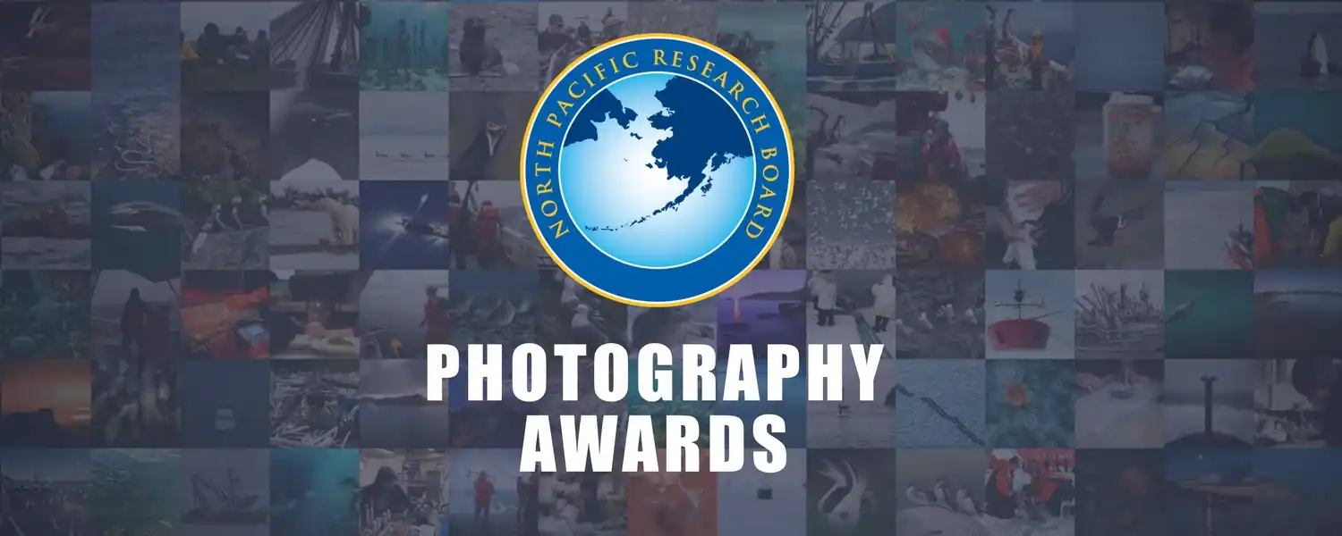 NPRB Photography Awards 2025 2 - Deartline NPRB Photography Awards 2025