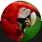 Nature Art Competition 2025 by Artist Space Gallery