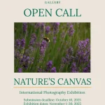 Nature's Canvas by Allora Gallery