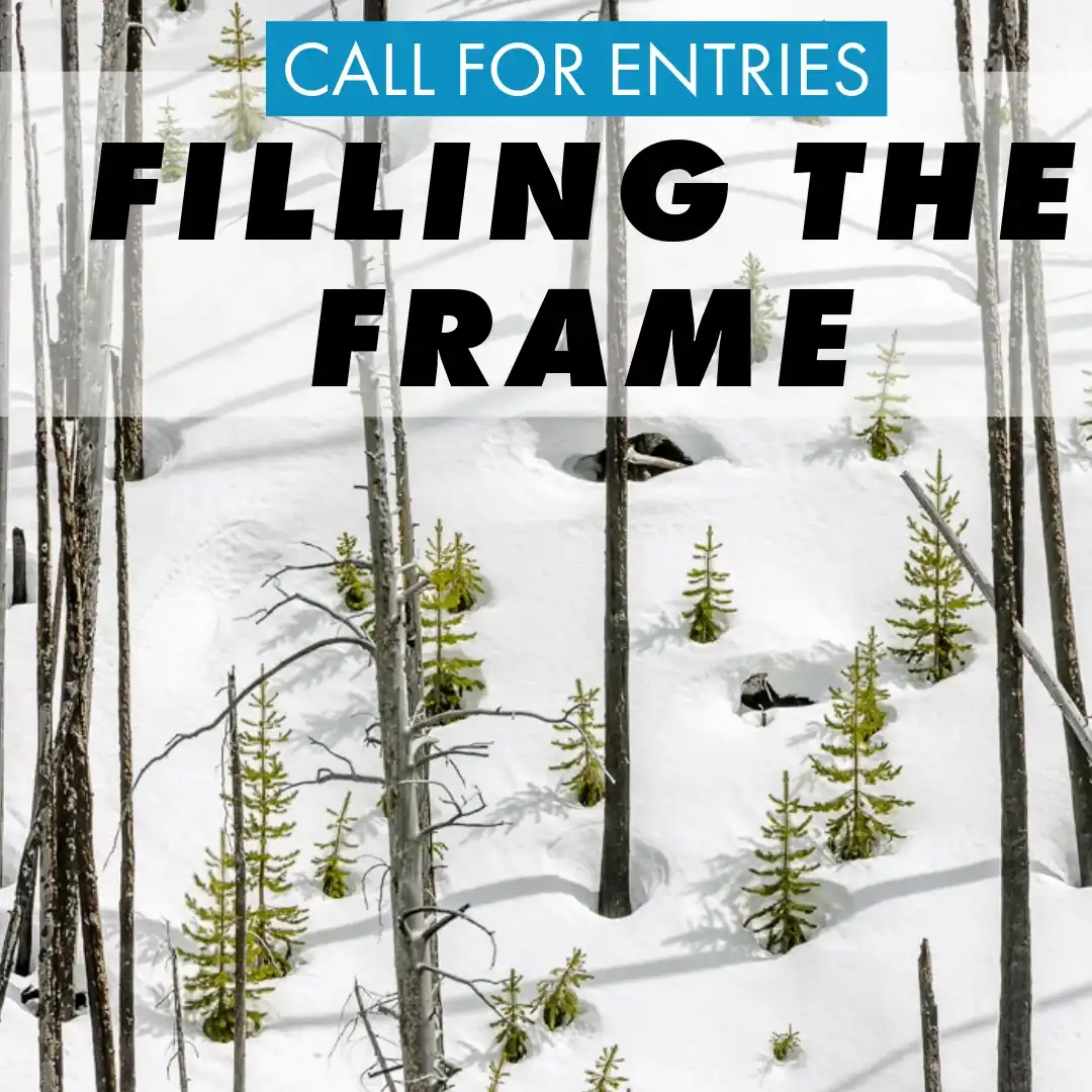 Filling the Frame by PhotoPlace Gallery 2 - Deartline Filling the Frame by PhotoPlace Gallery