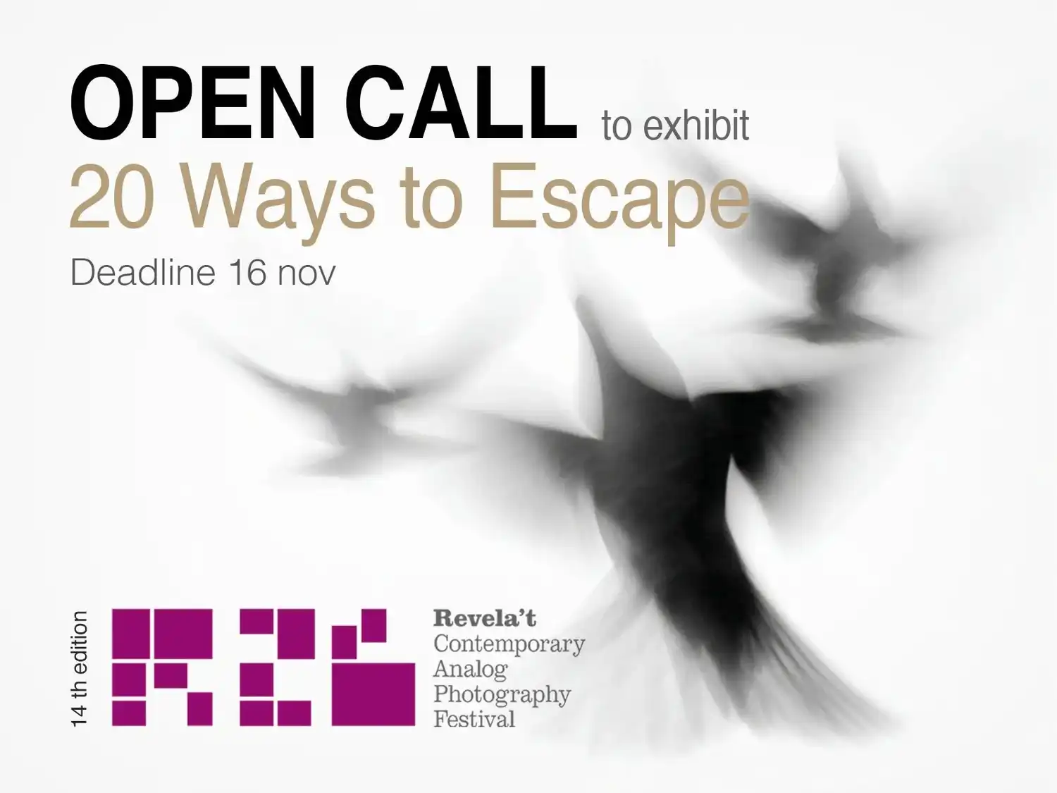 Revela’t 2026 Open Call to Exhibit 2 - Deartline Revela’t 2026 Open Call to Exhibit
