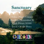 Sanctuary by Decagon Gallery 31 - Deartline Sanctuary by Decagon Gallery