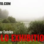 Solo Exhibition December 2025 by All About Photo 23 - Deartline Solo Exhibition December 2025 by All About Photo
