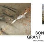 Sonntag Grant 2025 6 - Deartline Sonntag Grant 2025