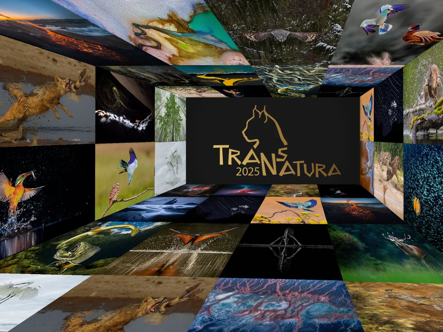 TransNatura 2025