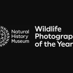 Wildlife Photographer of the Year 2025 10 - Deartline Wildlife Photographer of the Year 2025