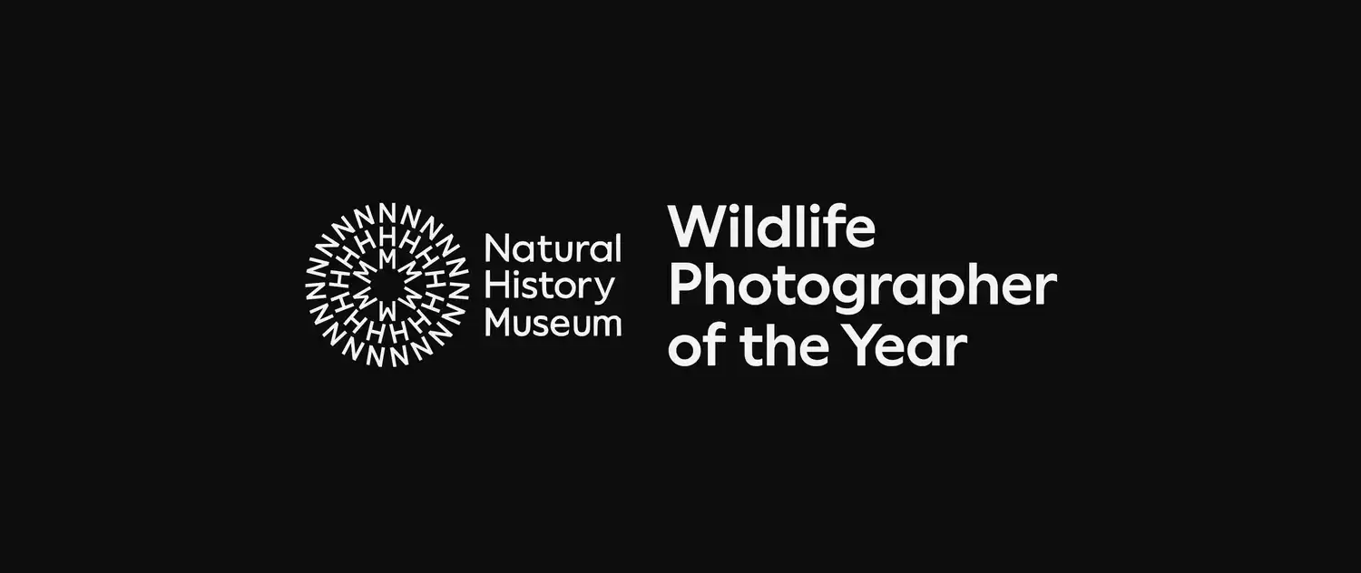 Wildlife Photographer of the Year 2025 2 - Deartline Wildlife Photographer of the Year 2025