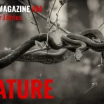 AAP Magazine 54 Nature 7 - Deartline AAP Magazine 54 Nature